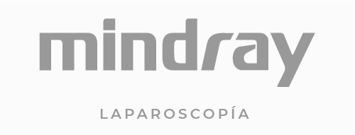 Logo_gris_Mesa de trabajo 1