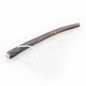 Laminaria